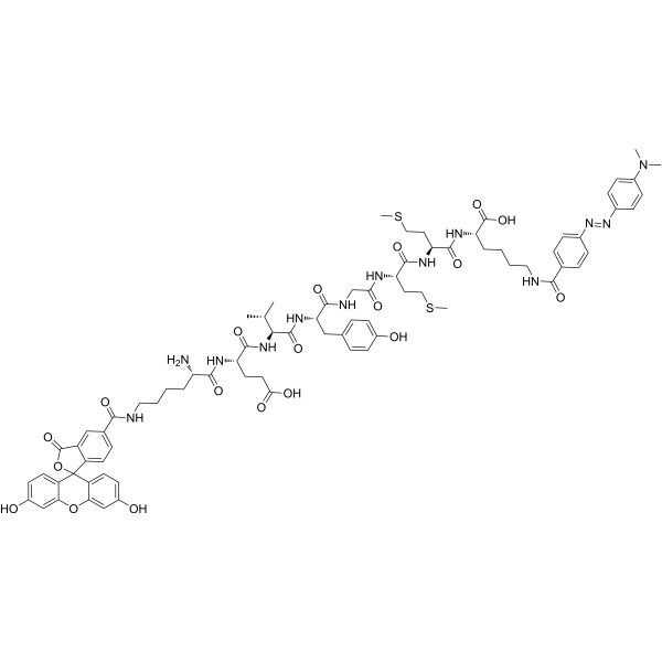 Calpain-1 substrate, fluorogenic 636566-40-0